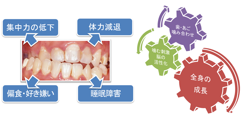 見た目だけではありません