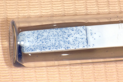 だ液検査について(リスクテスト)